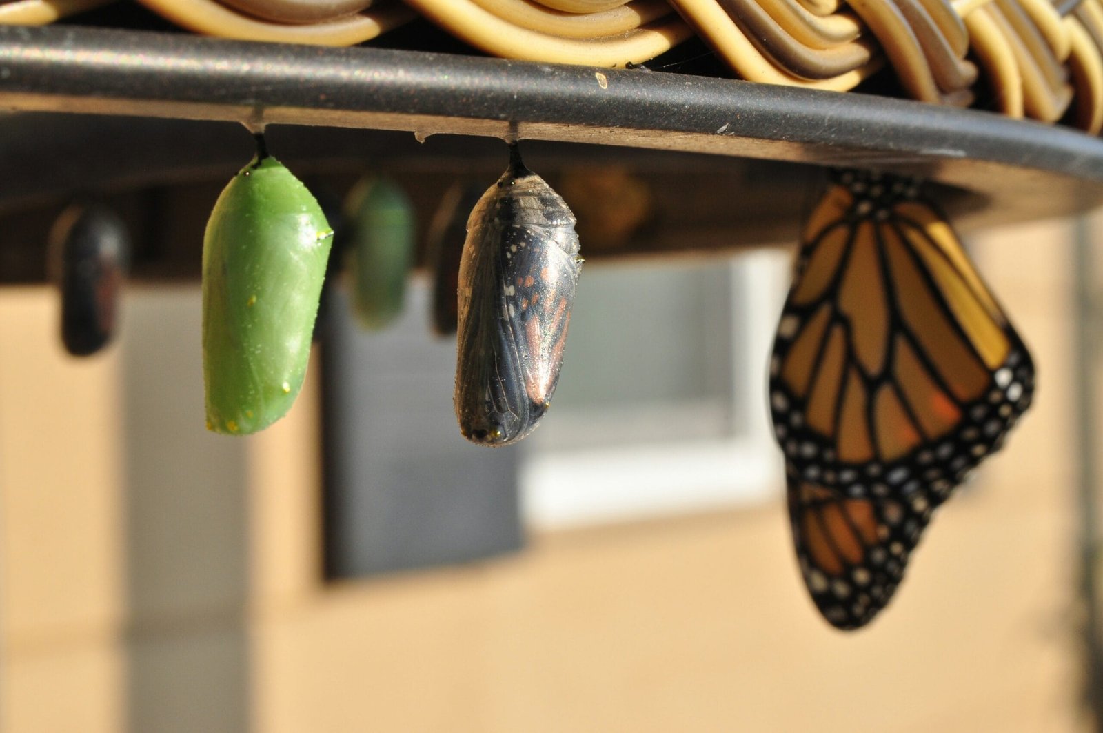 Photo by <a href="https://unsplash.com/@scw1217" rel="nofollow">Suzanne D. Williams</a> on <a href="https://unsplash.com/?utm_source=hostinger&utm_medium=referral" rel="nofollow">Unsplash</a>